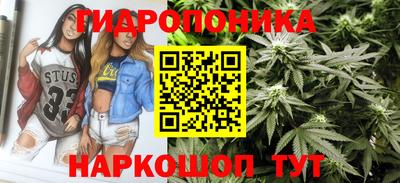 эйфоретик Краснодар