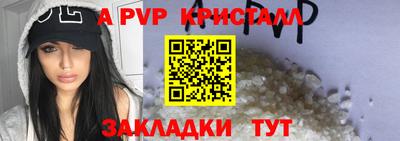 гашик Краснознаменск