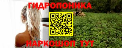 эйфоретик Краснодар