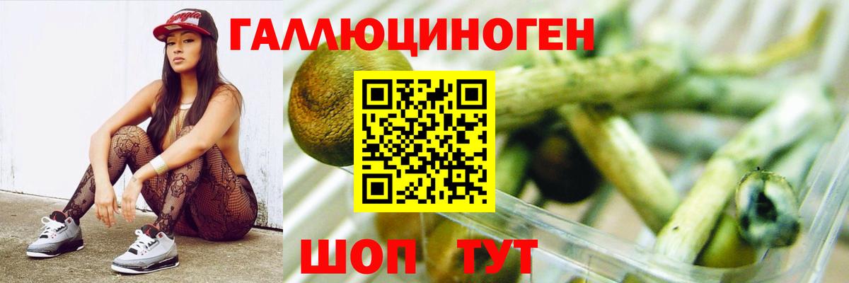 Хасавюрт  Галлюциногенные грибы мицелий  Псилоцибиновые грибы ЛСД  Вход с VPN 